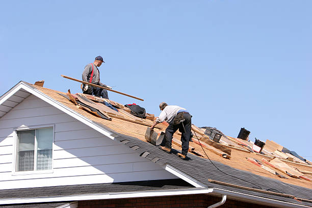 Best Siding Services  in , IL